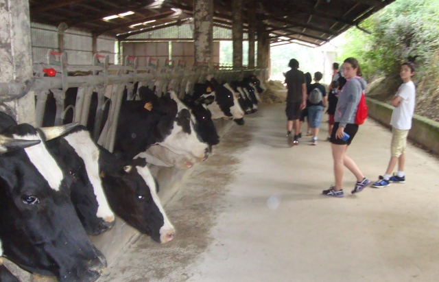 Acercamiento a la naturaleza