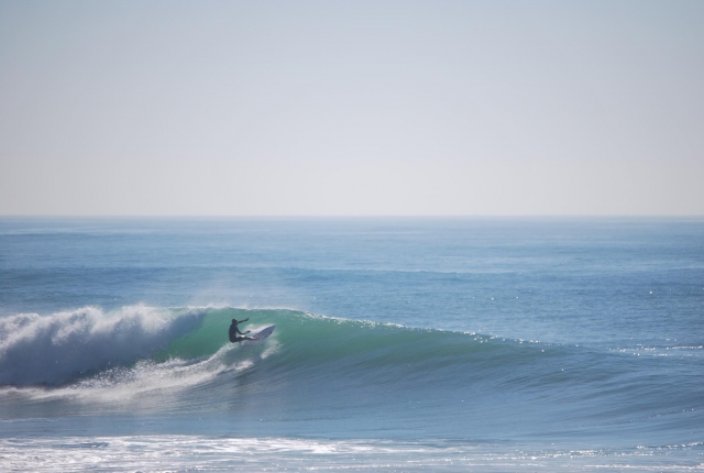 surfeando