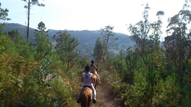 Riding a horse through the Galician forests 
