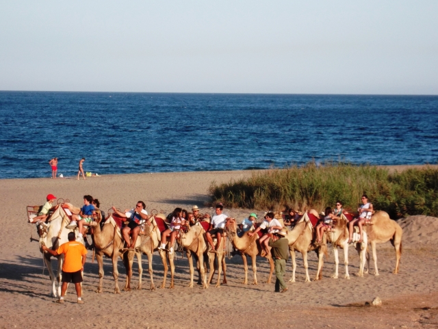  Mojácar Playa 
