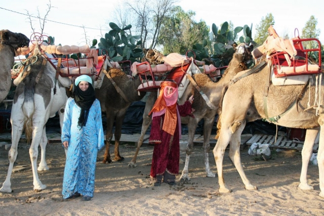 Theme parties with camels 