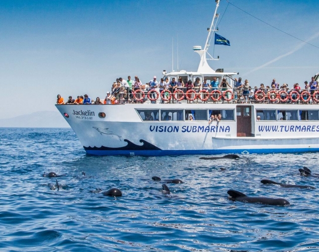 Barfco con vision submarina