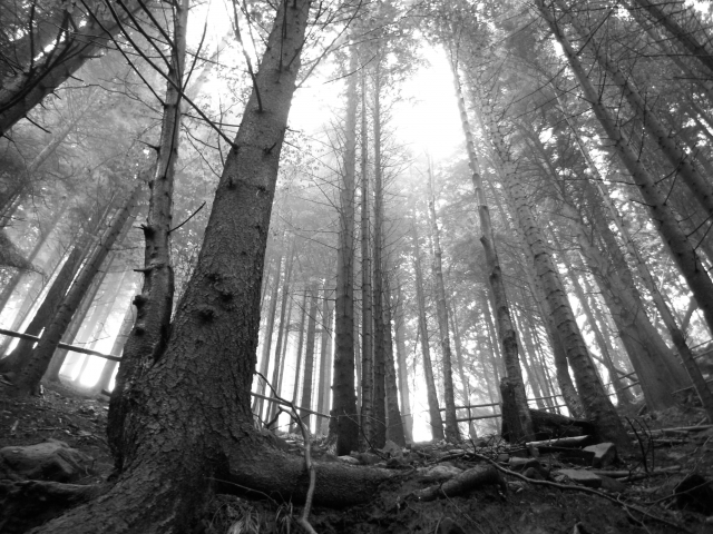 Trekking nei Pirenei 