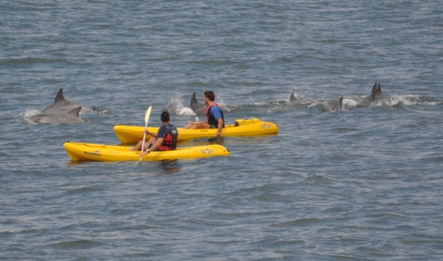 kayaks y defines