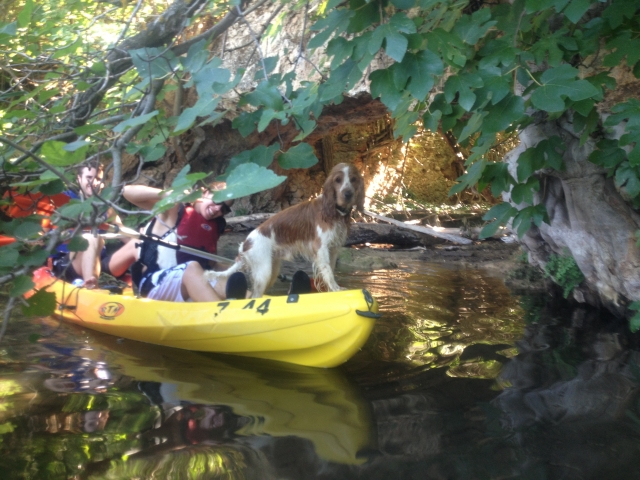  lagons de ruidera places en kayaks 