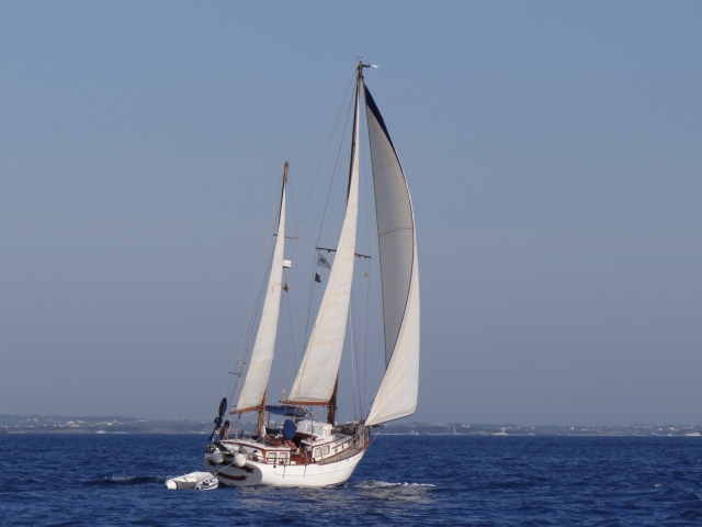 ibiza barco
