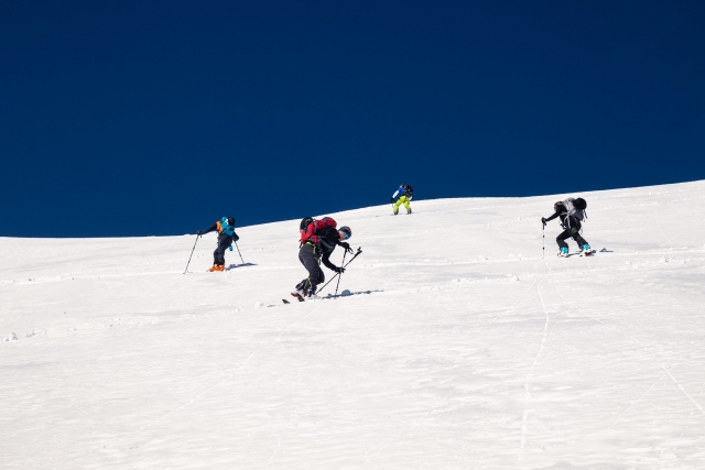  On the snow slope practicing 
