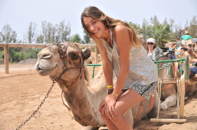  Aproveite os camelos em Fuerteventura 