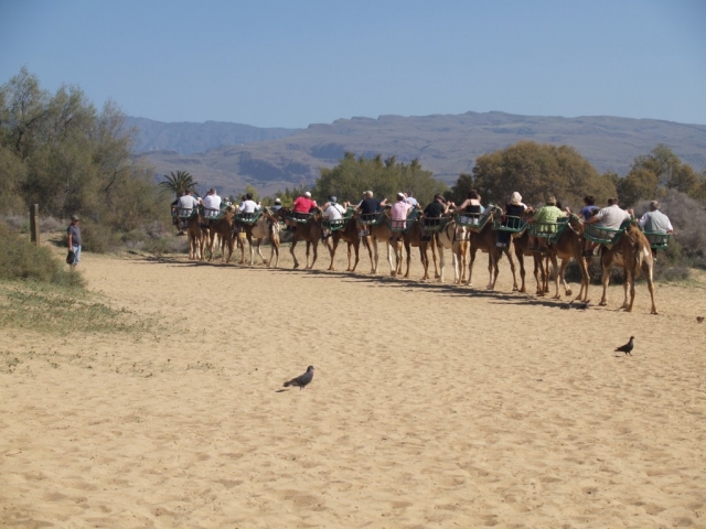  Gran Canaria Desert 