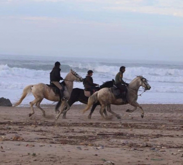  Am Strand entlang reiten 