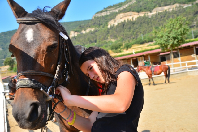 Colocando las riendas al caballo