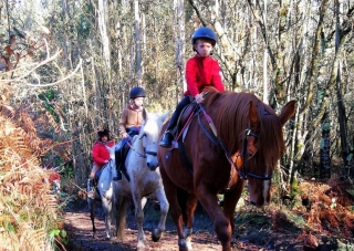 Club Ecuestre Os Parrulos