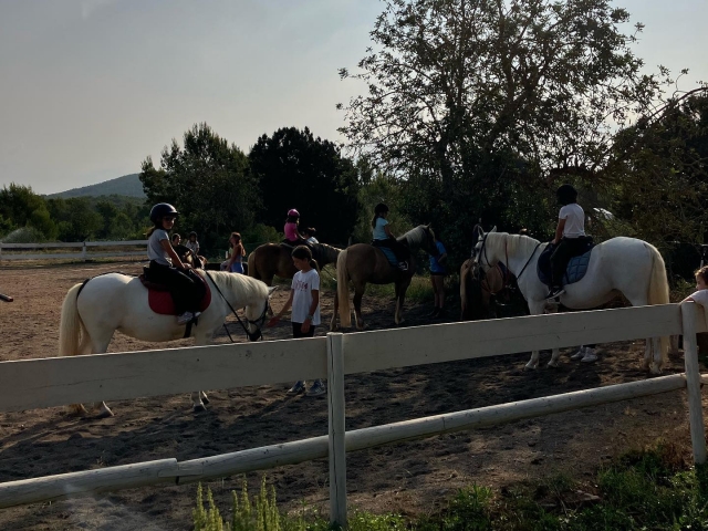 e-19693482-club-hipico-ibizahorses-1687937479-3134969253786520730-50952206449173029016717302903037425.jpg
