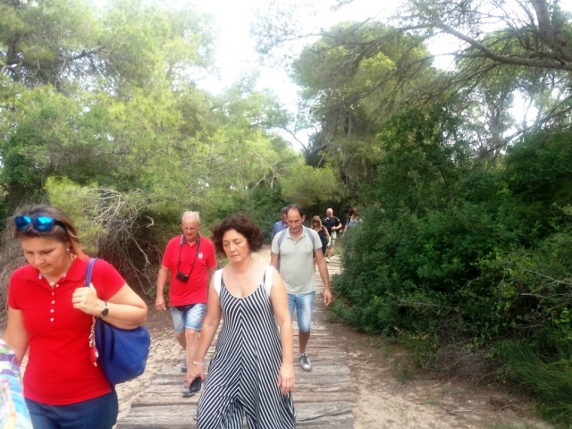  Group of tourists 