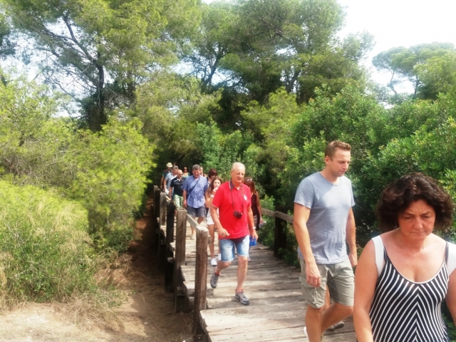 Guided tour of the province of Valencia 