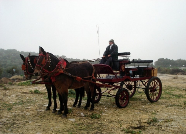 carro bandolero