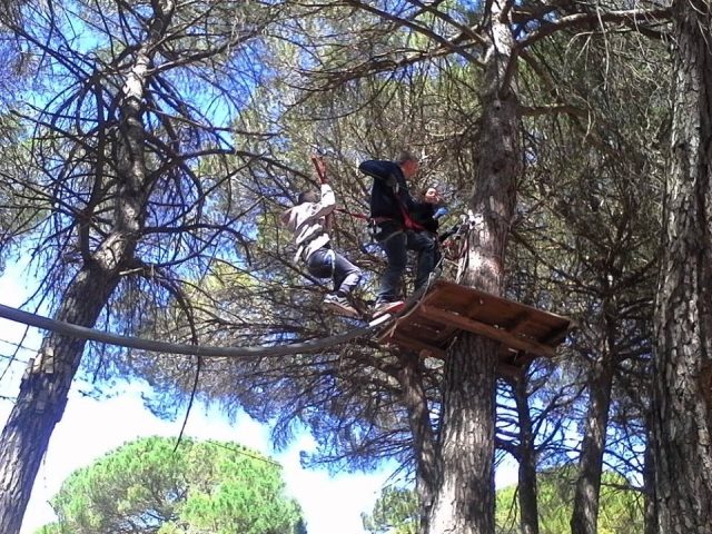 nuestros arboles