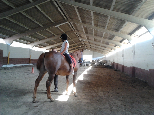Volteo en la hipica