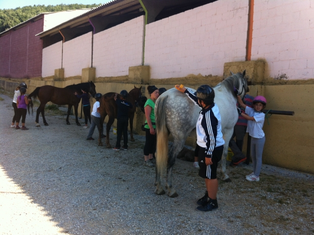 Equipando a los caballos