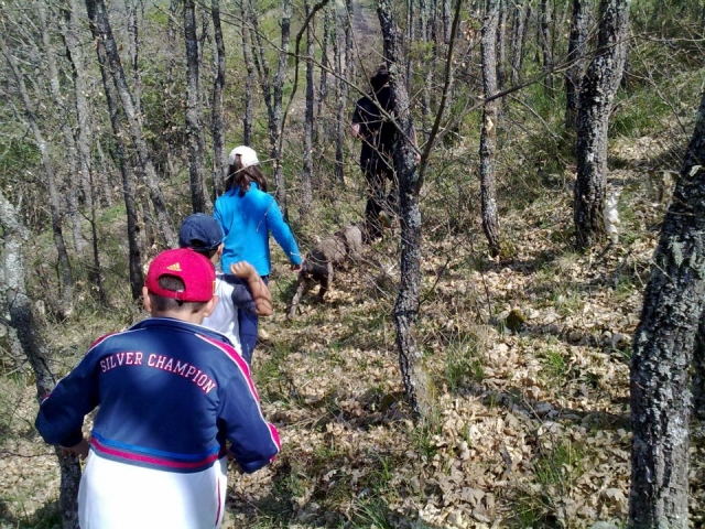rutas por el campo