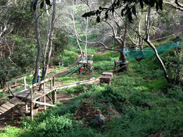 aventuras en el bosque