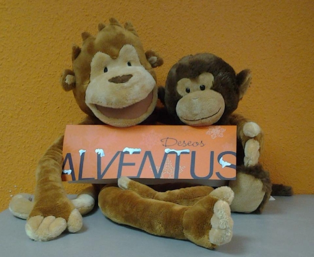 Alventus welcome