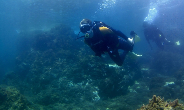  Practical diving class 