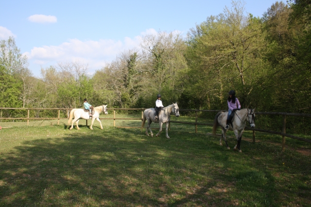 Aprendiendo a manejar su caballo