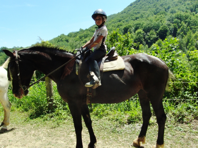 TRAC terapies i rutas a cavall