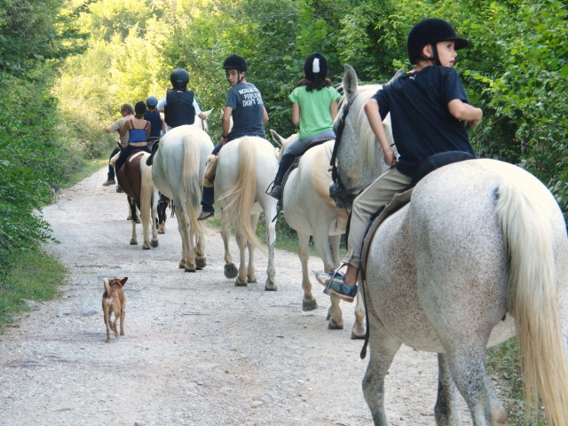 clases de monta natural