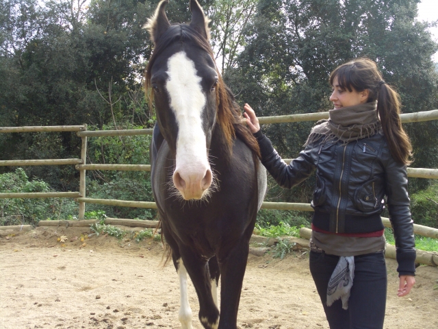 curso de Doma natural