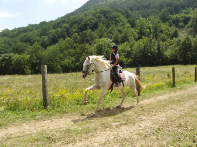 Clases de galope TRAC