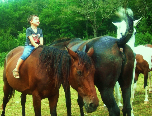 Emociones en libertad!! TRAC