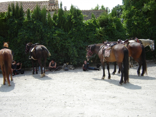 Rutas a caballo TRAC