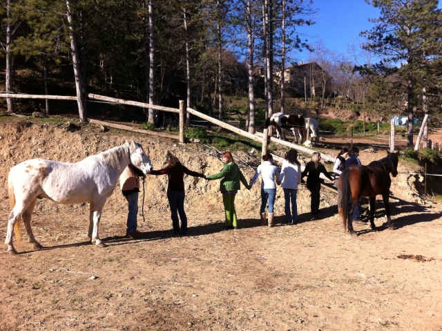 curso de inteligencia emocional con caballos
