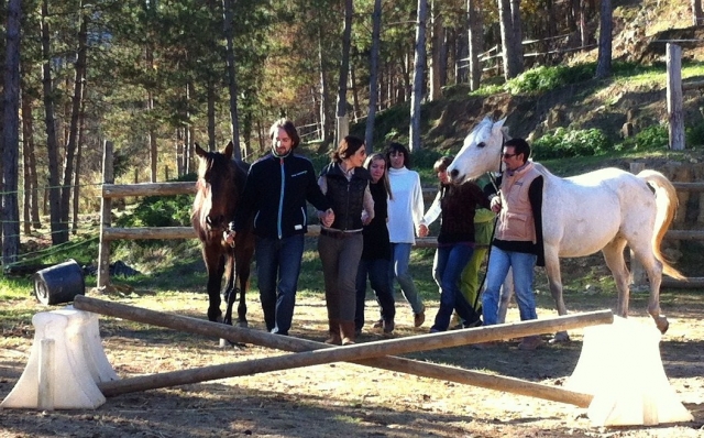 curso de coaching con caballos