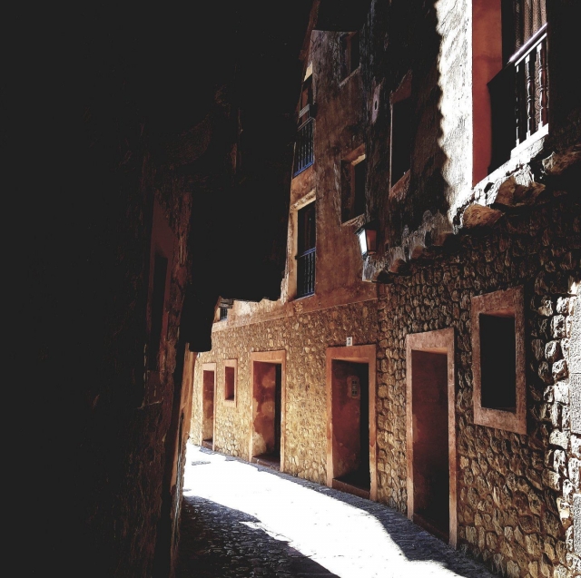  我们的导游将带您前往 Calle Los Tejados 