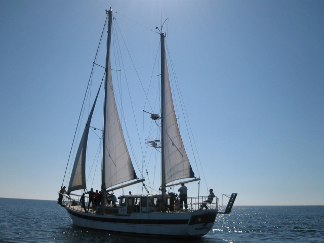  Sailboat in navigation 