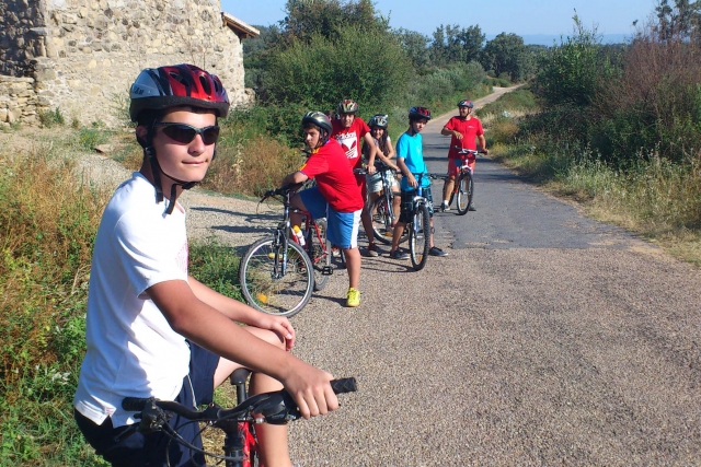 bicis