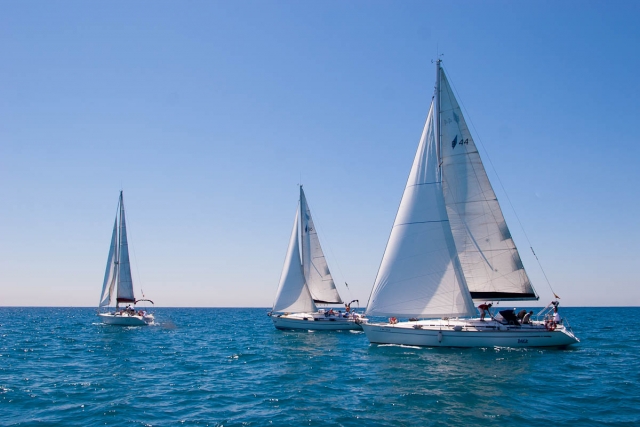 forework-75sailingwine-vela.jpg