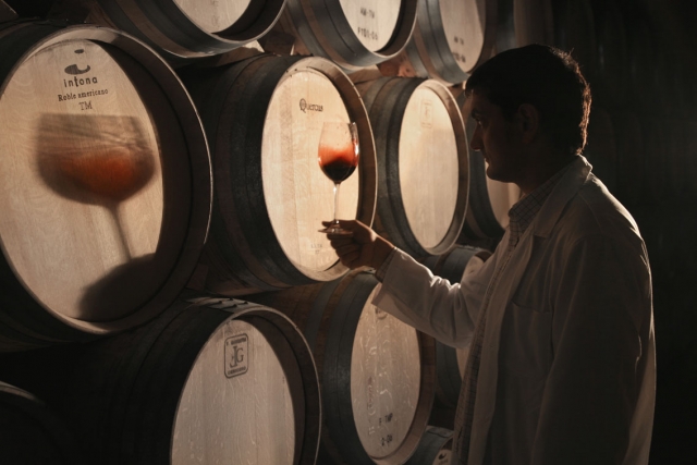 barricas2sailingwine.jpg