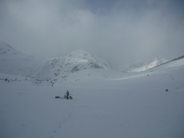 Nieve