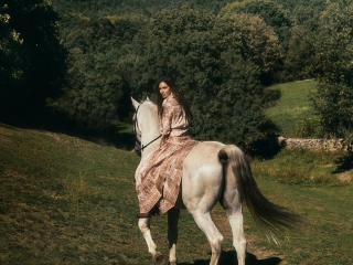 Centro Hípico Los Ciruelos