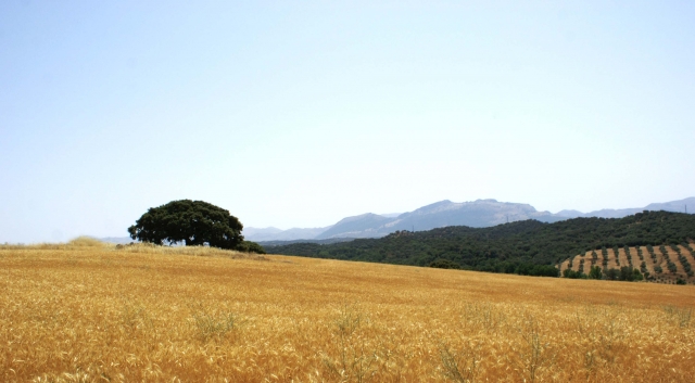  Ambiente mediterrânico