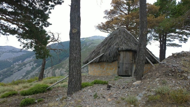 Cabaña