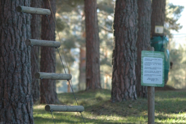 Escalada al arbol