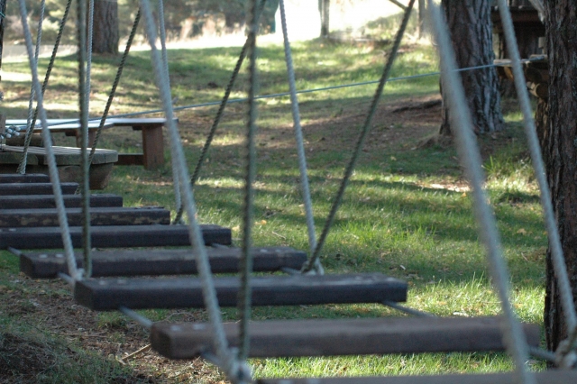 Tablas del puente
