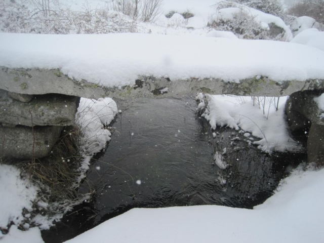 Asi se presentan los dias en invierno