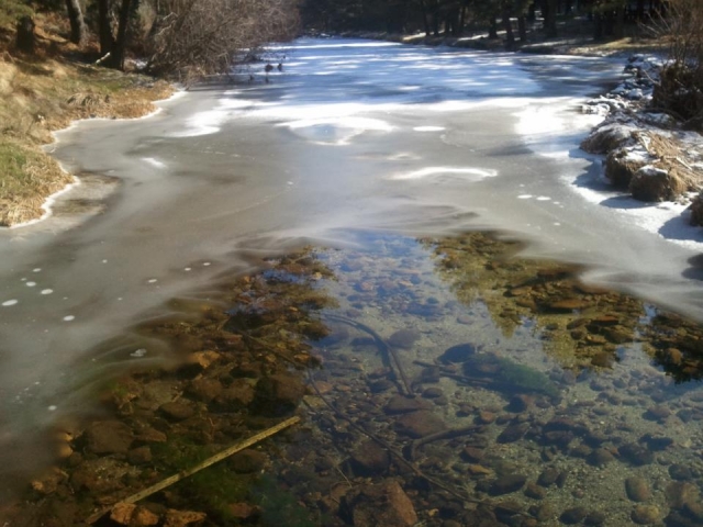 Lago