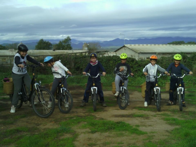 bicicletas infantiles